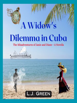 cover image of A Widows Dilemma in Cuba